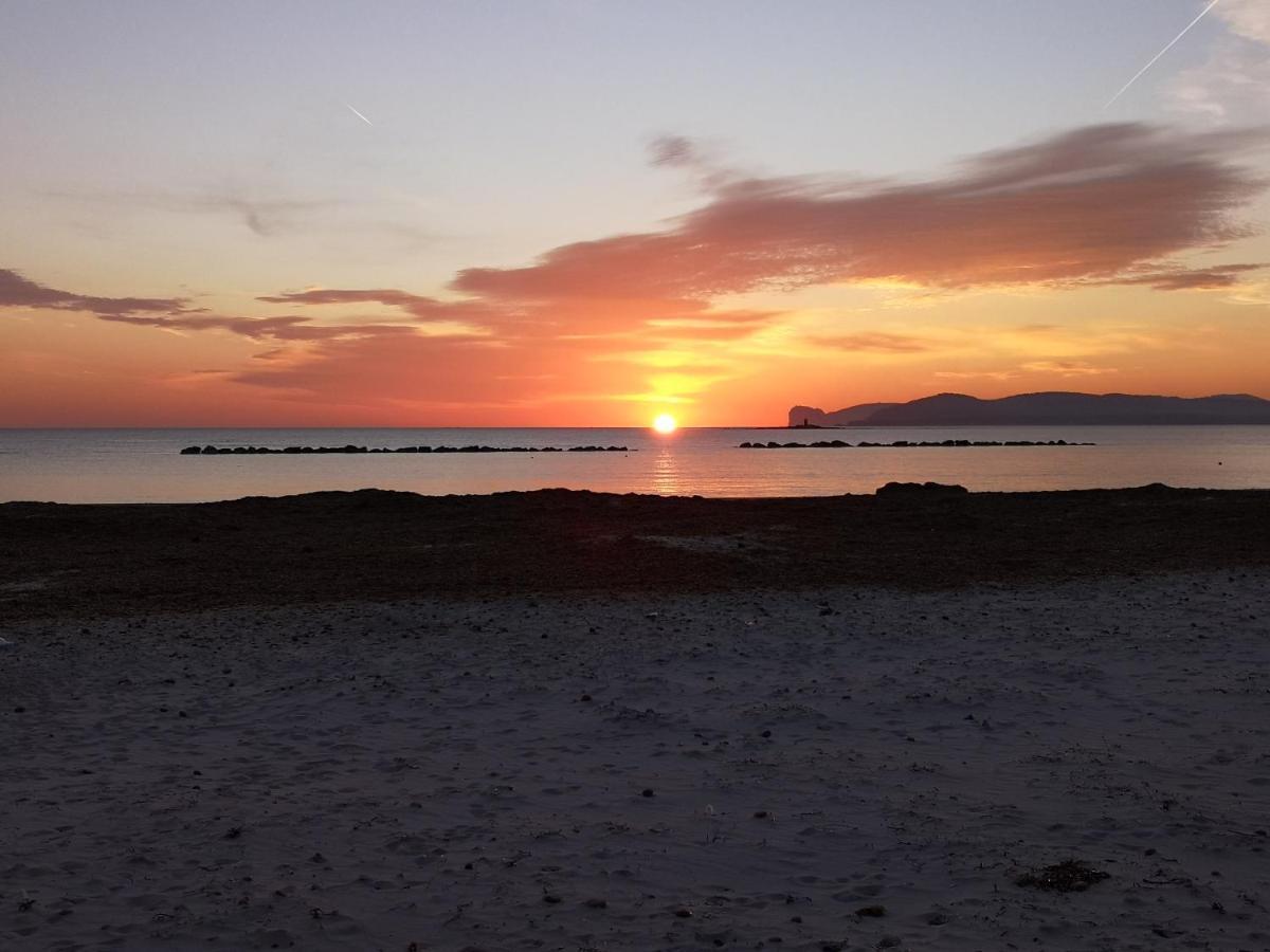 Casa Vacanze Lunatya Daire Alghero Dış mekan fotoğraf